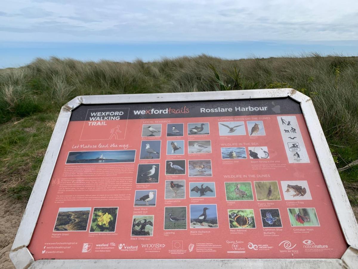 St Martin'S, Rosslare Harbour Guest Accommodation Экстерьер фото